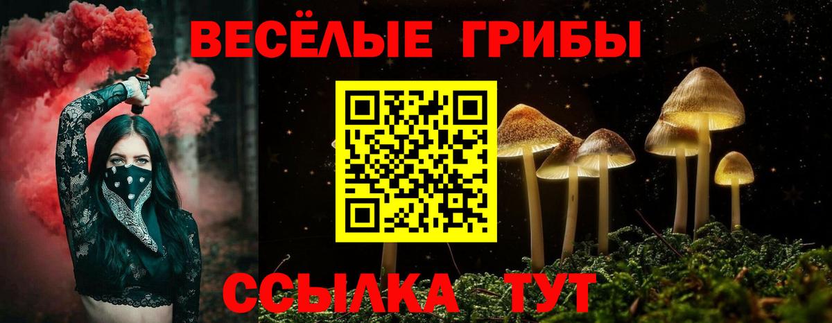 Галлюциногенные грибы ЛСД  Псилоцибиновые грибы ЛСД  Вход с VPN  Мыски 