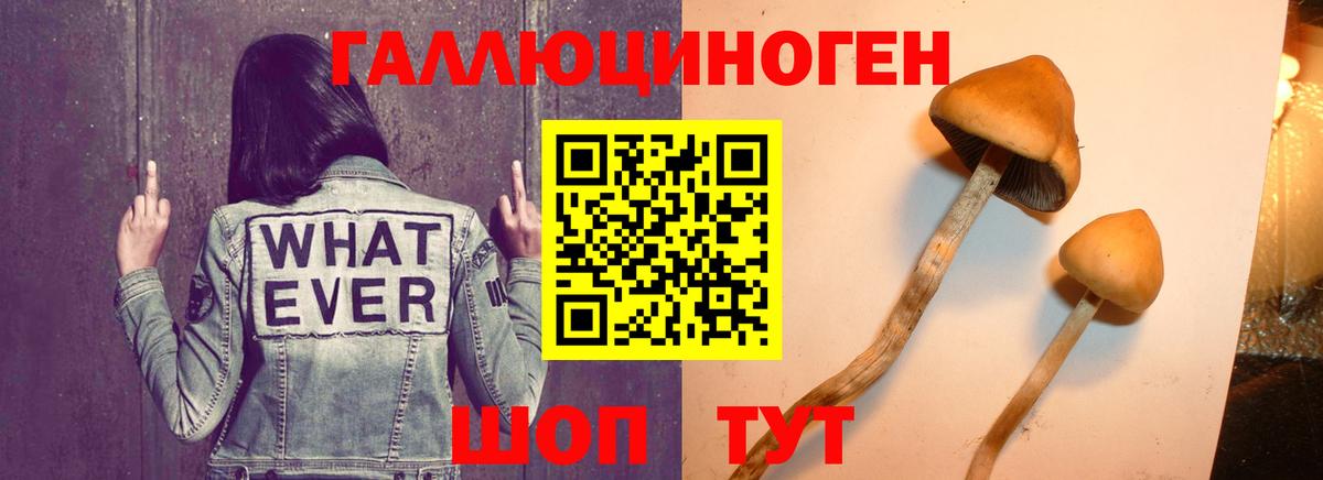 Псилоцибиновые грибы ЛСД Мыски